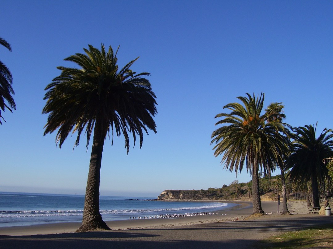 SP Beach Near Santa Barbara